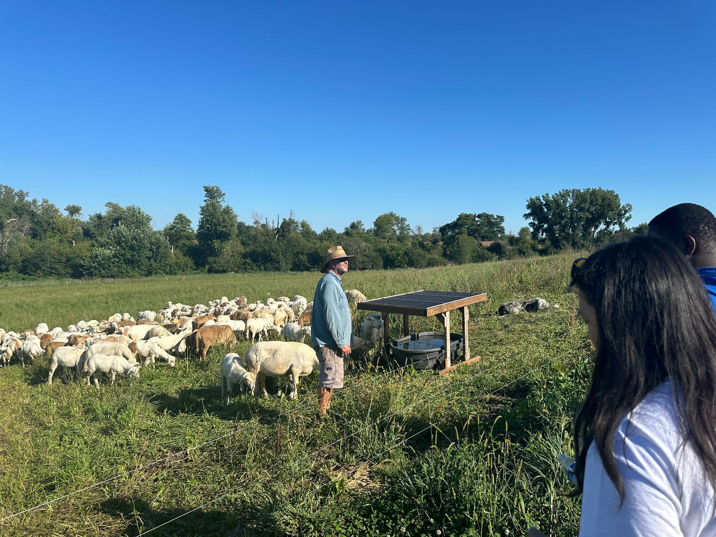Tour de Lamb - Farm Tour and Dinner