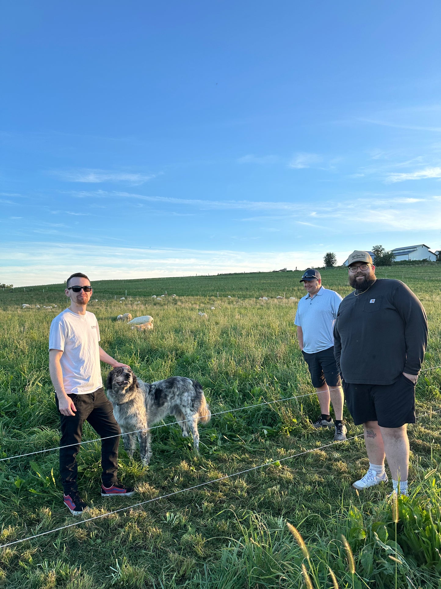 Tour de Lamb - Farm Tour and Dinner