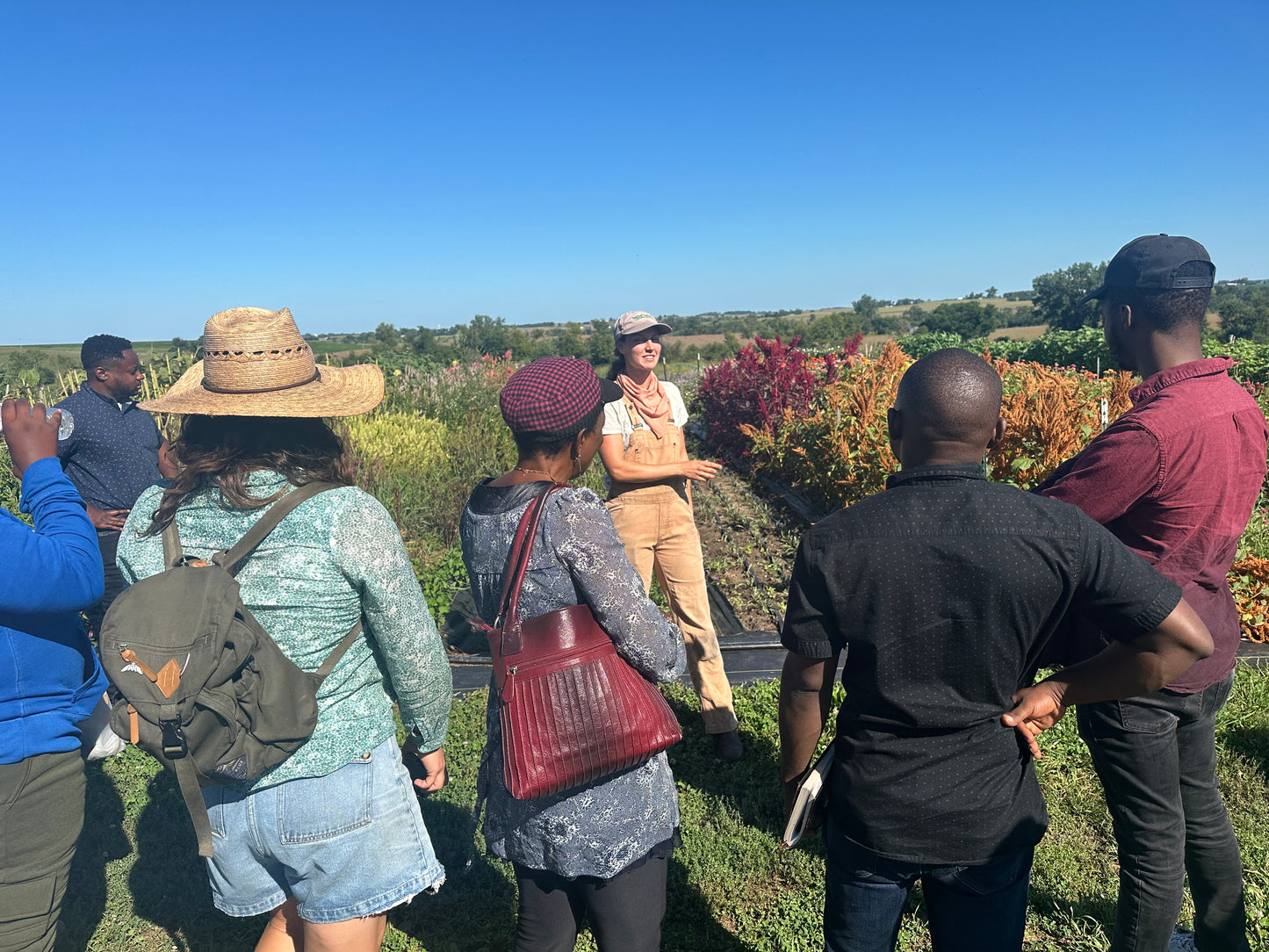Tour de Lamb - Farm Tour and Dinner