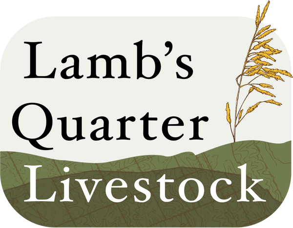 Lamb's Quarter Livestock